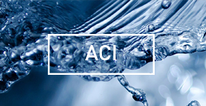 ACI TECHNICAL (PTY) LIMITED<br> - ACI -