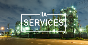 INVEST IN AFRICA SERVICES<br> - IIAS -